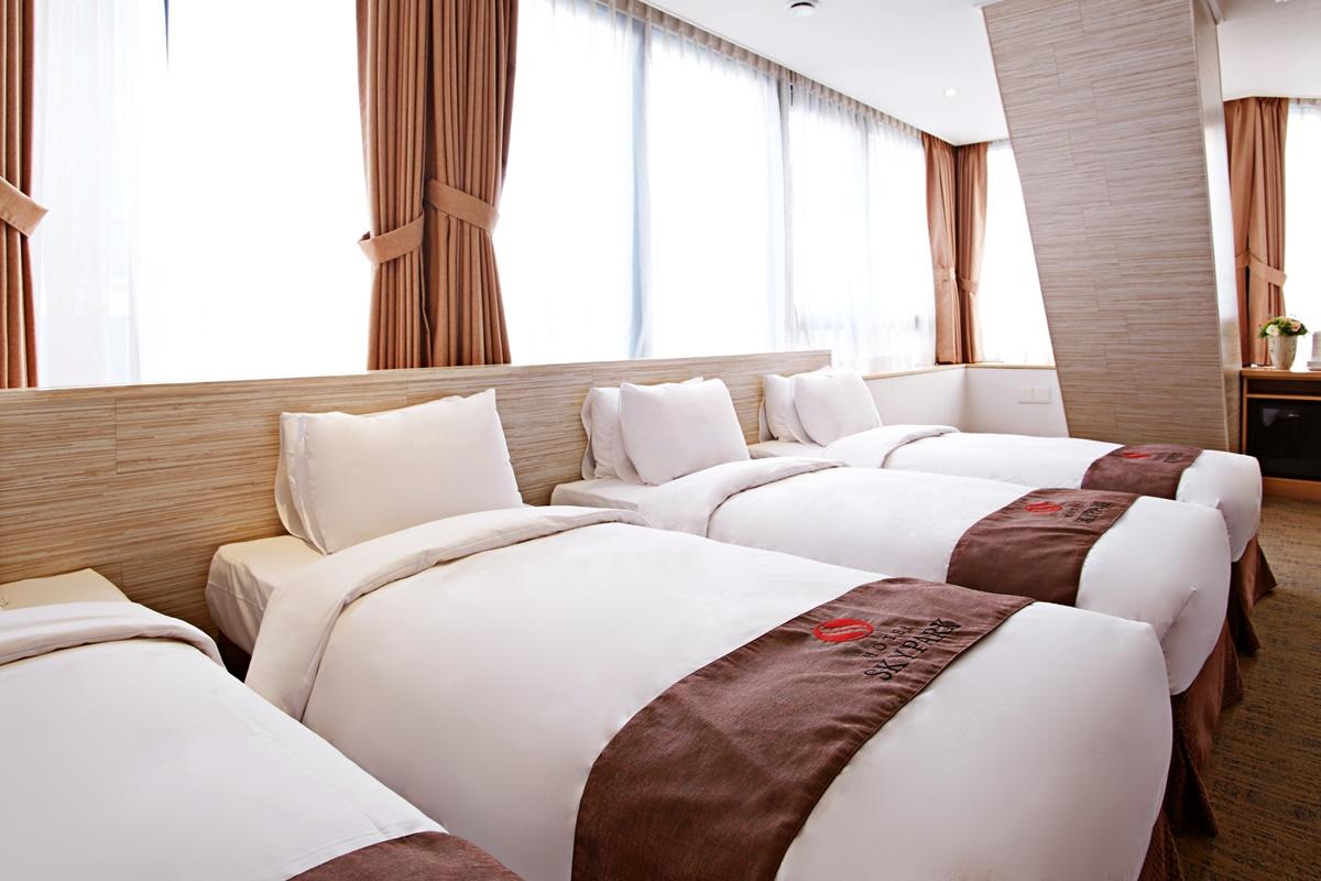 Hotel Skypark Myeongdong 2 Seul